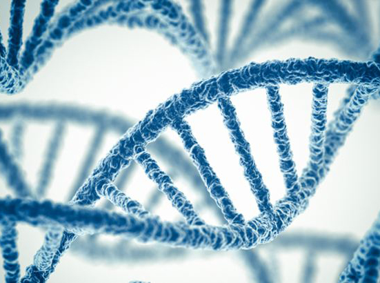 基因检测公司具有哪些特点