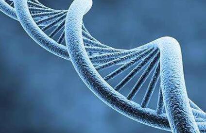 高危生子做DB基因检测的作用有哪些？