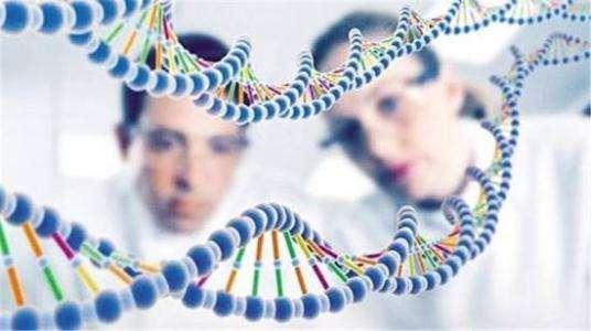 基因检测公司为什么广受市场欢迎
