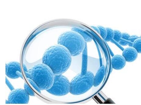 通过基因检测公司服务的好处有哪些